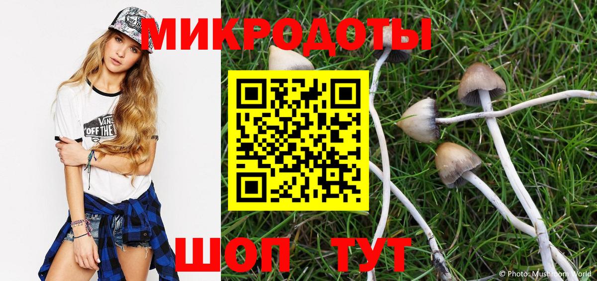Псилоцибиновые грибы прущие грибы  Вход с VPN  Лабытнанги 