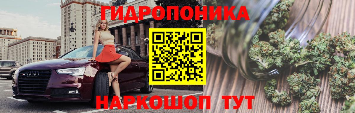 Лабытнанги  Каннабис SATIVA & INDICA  Бошки Шишки план  Вход с VPN  Бошки Шишки SATIVA & INDICA  МАРИХУАНА THC 21% 
